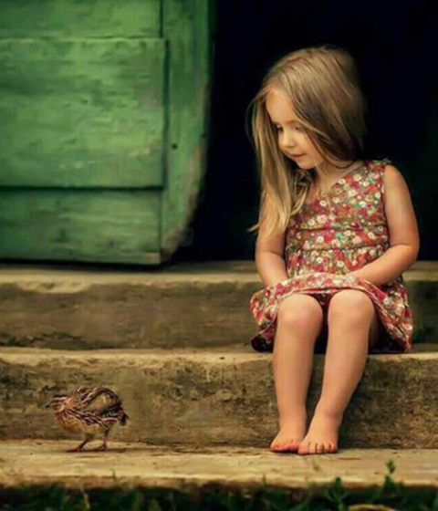 19554568_935150756625104_211377528326469355_n