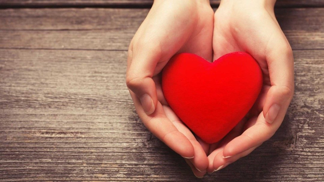 trabalho voluntÃ¡rio3