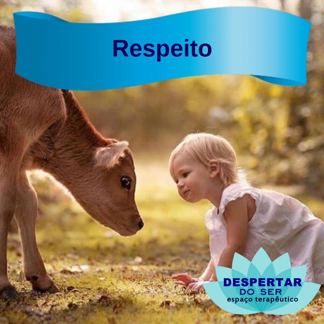 Respeito