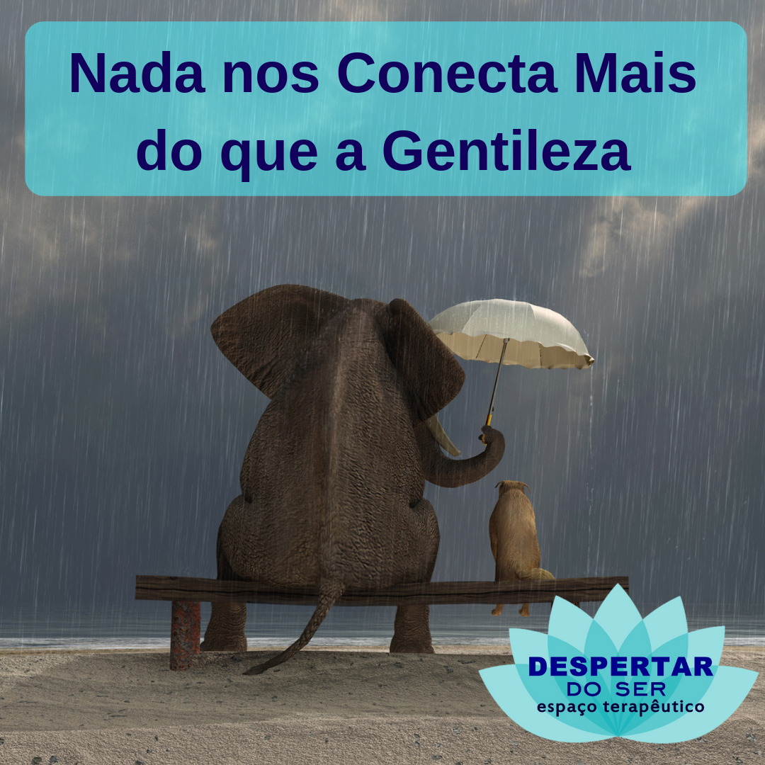 Nada nos Conecta Mais do que a Gentileza