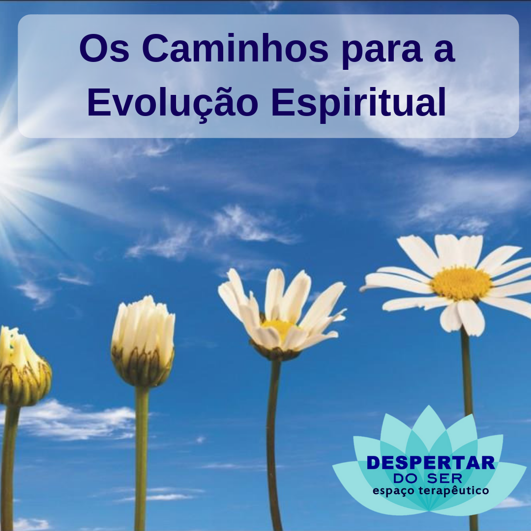 evolução(1).png