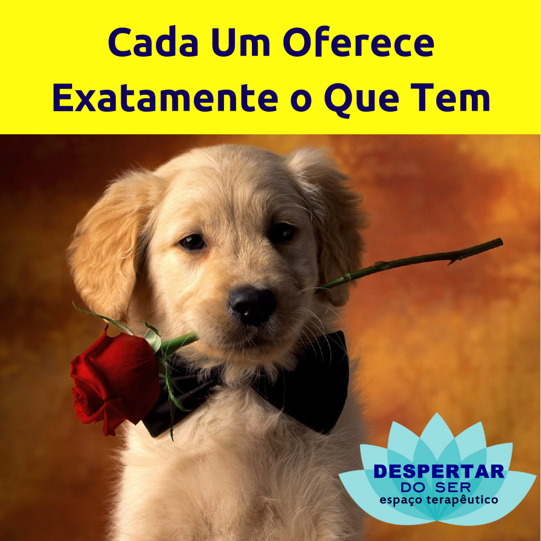 cada um oferece exatamente o que tem